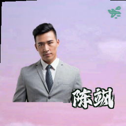陈飒